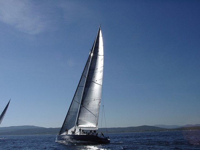 wallys - 7.jpg